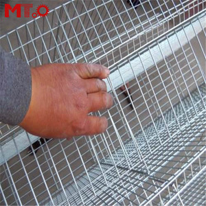 Quail Farmers <strong>Use</strong> Quail Cages Equipped with <strong>Automatic</strong> Feeding System - Product Image 5