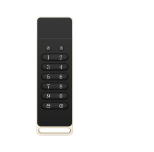 Best Selling Key Password Protection <strong>Flash</strong> Disk Digital <strong>Encrypted</strong> USB <strong>Flash</strong> Drive OEM ODM OBM Customazition - Product Image 4