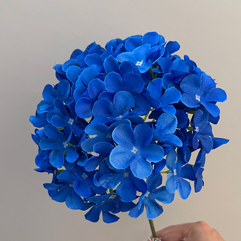 Bleu foncé