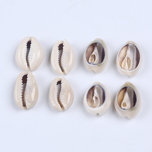 Doğal zanaat yarım kesim bölünmüş deniz kabuk Cowrie Shell dekor deniz kabuğu kabuklu deniz hayvanı kabuğu - Product Image 1