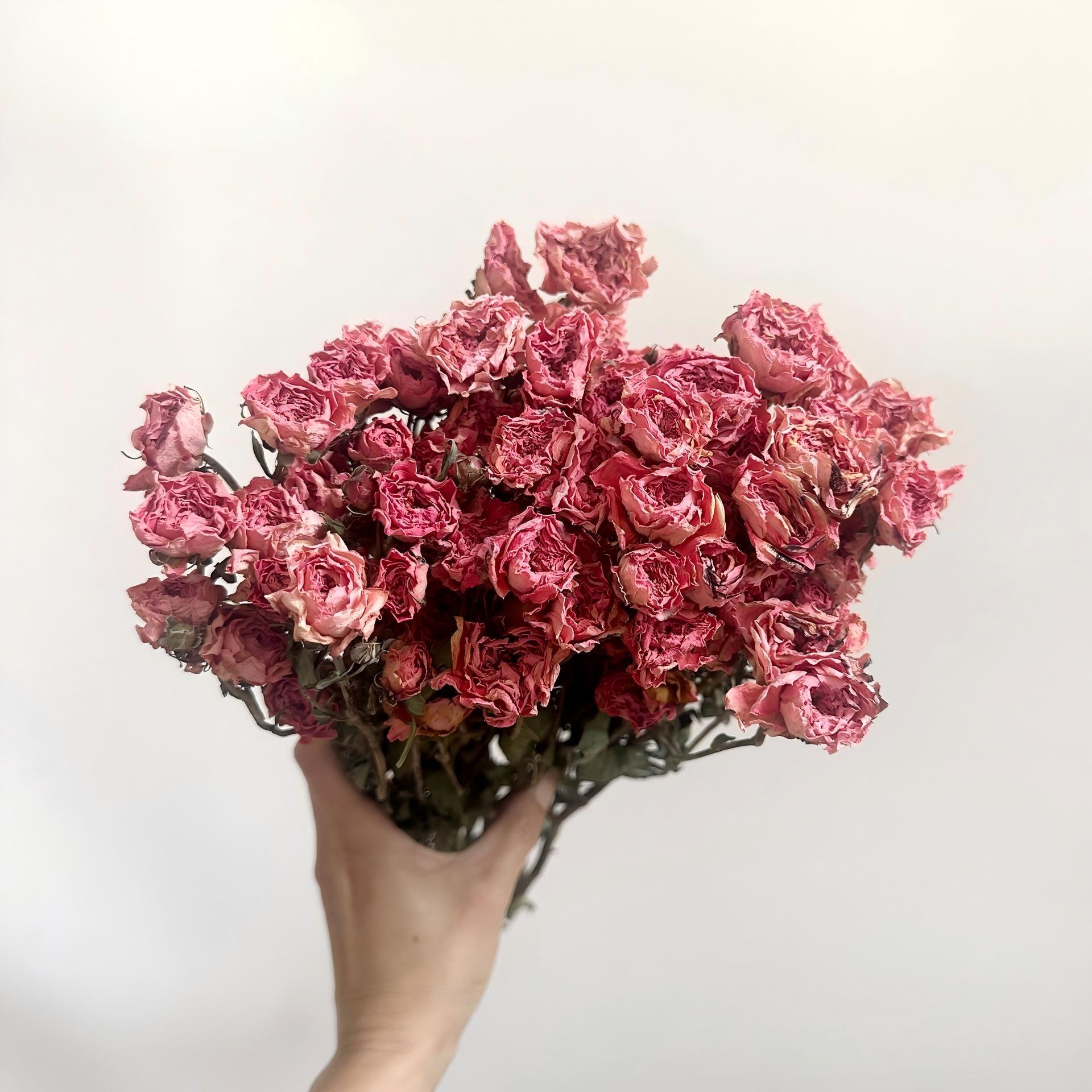 Rose foncé