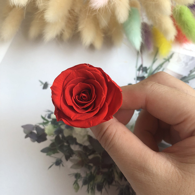 Rose rouge 3-4 cm