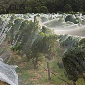 <strong>Cheap</strong> <strong>pp</strong> Vineyard Plastic Nylon Double Knotted Fishing Anti-bird Nets Anti for Bird <strong>Netting</strong> in Rice Fields Garden Price - Product Image 1