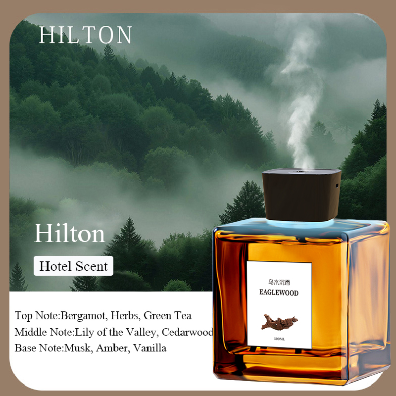 Black Hilton