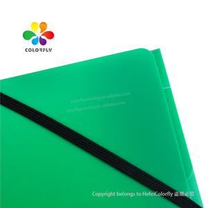 高品质塑料文件盒彩色文件收纳盒定制尺寸盒式办公室文件带 - Product Image 4