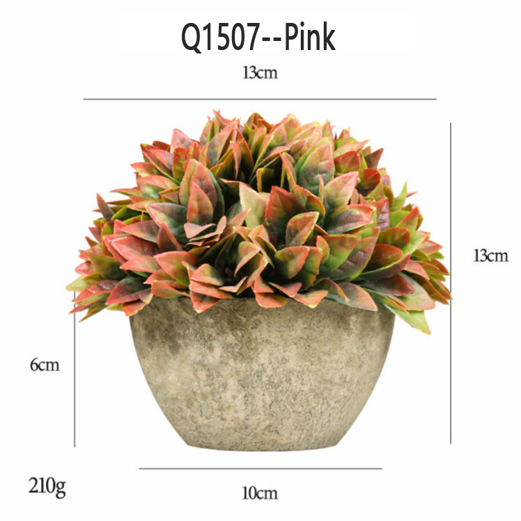 Q1507 -- rose