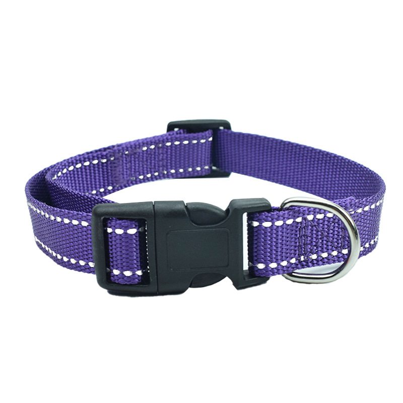Collier violet uniquement