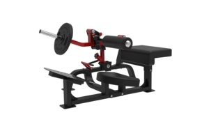 LZX yeni kalça güven makinesi ticari ev spor salonu fitnes egzersiz ekipmanları kalça makinesi DZ018 glute makinesi