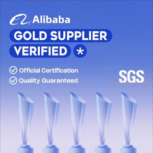 MOV Brand Expert Graphic Designers Advertising Marketing Video Editing Summer Sale September Super Style <strong>Design</strong> Services - Product Image 5