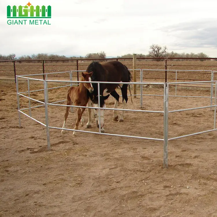 4 Rails No Climb Galvanized Livestock Farm Clôture Panneaux de clôture ronds en acier pour chevaux Rails galvanisés à chaud Soudés Modèle 3D Gates