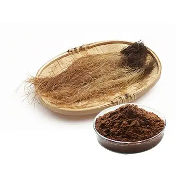 100% 100 tự nhiên: 1 200:1 Eurycoma longifolia chiết xuất bột Tongkat Ali gốc Tongkat Ali chiết xuất