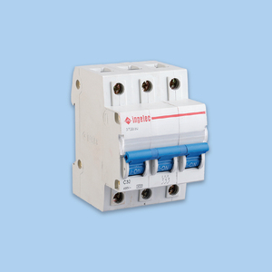 Ingelec 230V 1P + N DPN 6A 10A 16A 20A 25A 32A 40A 63A 4.5kA elektrik kılavuzu Min devre kesici Transfer anahtarı - Product Image 3