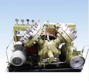 Компрессор диафрагмы газовый воздушный водородный биогаз аммиак СПГ Co2 кислородный инструмент высокого давления винтовой Тип пропан мини воздух - Product Image 2