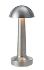 Type B Silver