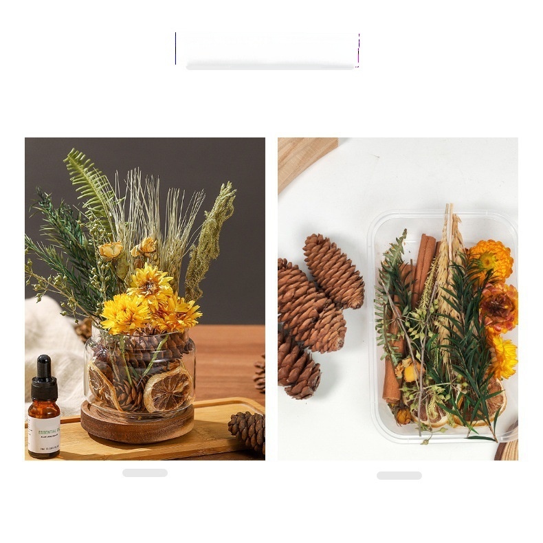 Autumn Colors and Warm Sunshine Dried Flower Materials
