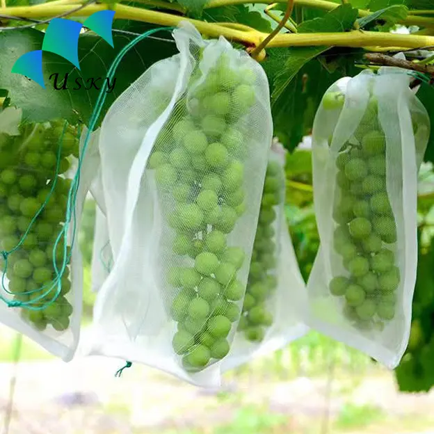 Bolsas de protección de uvas personalizadas, hdpe, tela agrícola, control de plagas de frutas, cubierta protectora para cultivo