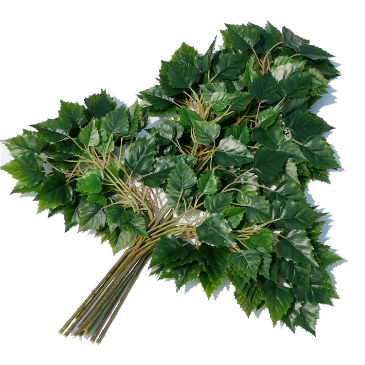 Ejército Green10