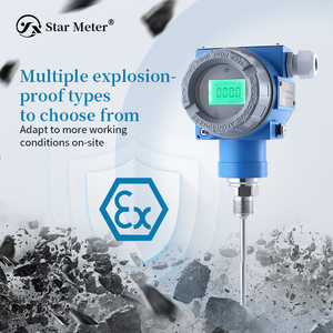 Explosion-Proof PT100 Thermal Resistance Temperature Sensor with HART High-Temperature Transmitter Intrinsic Safety