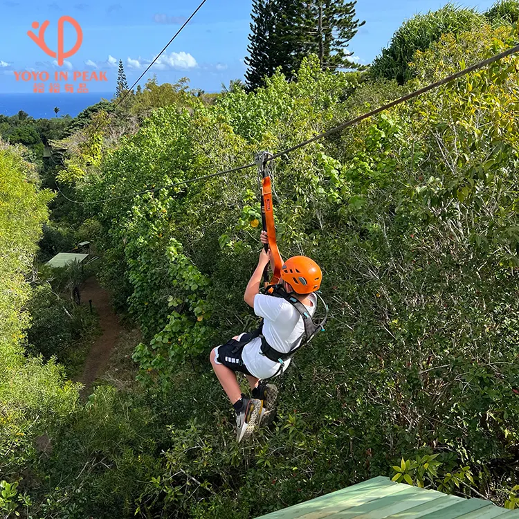 Volo professionale commerciale all'aperto della giungla di montagna che passa attraverso la linea di Zip all'aperto Kit attrezzatura corda scivolo Sky Zip Line