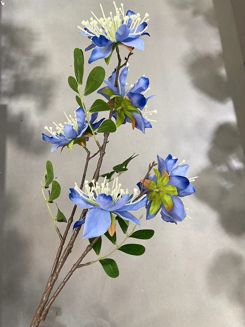 Bleu
