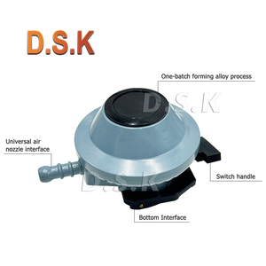 自动气体安全装置调节器Lpg中压调节器 - Product Image 2