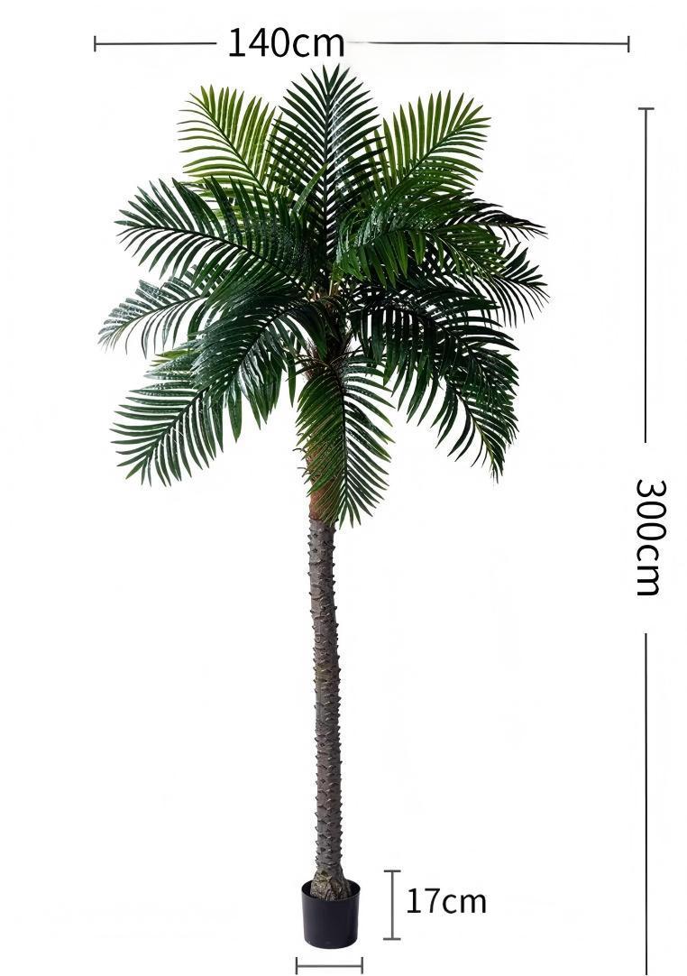 Albero di cocco verde, alto 3 metri