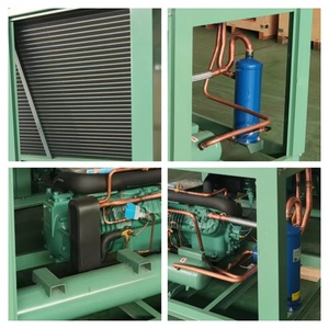 30hp -25 ℃ תיבת קירור יחידת קירור בוכנה קרלייל בוכנה מדחס בשר עוף אחסון קר נחושת fnv מקורר 380v 3ph