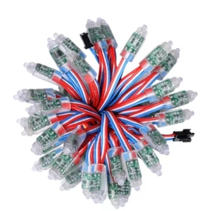 <strong>WS2811</strong> Full Color <strong>LED</strong> <strong>Pixel</strong> Lamp <strong>String</strong> DC 5V/12V 12MM Point Lights - Product Image 1