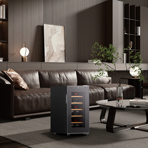 Candor Bán Buôn Nhiệt Duy Nhất-Zone 18 Chai Rượu Vang Tủ Lạnh Cooler Làm Lạnh - Product Image 5