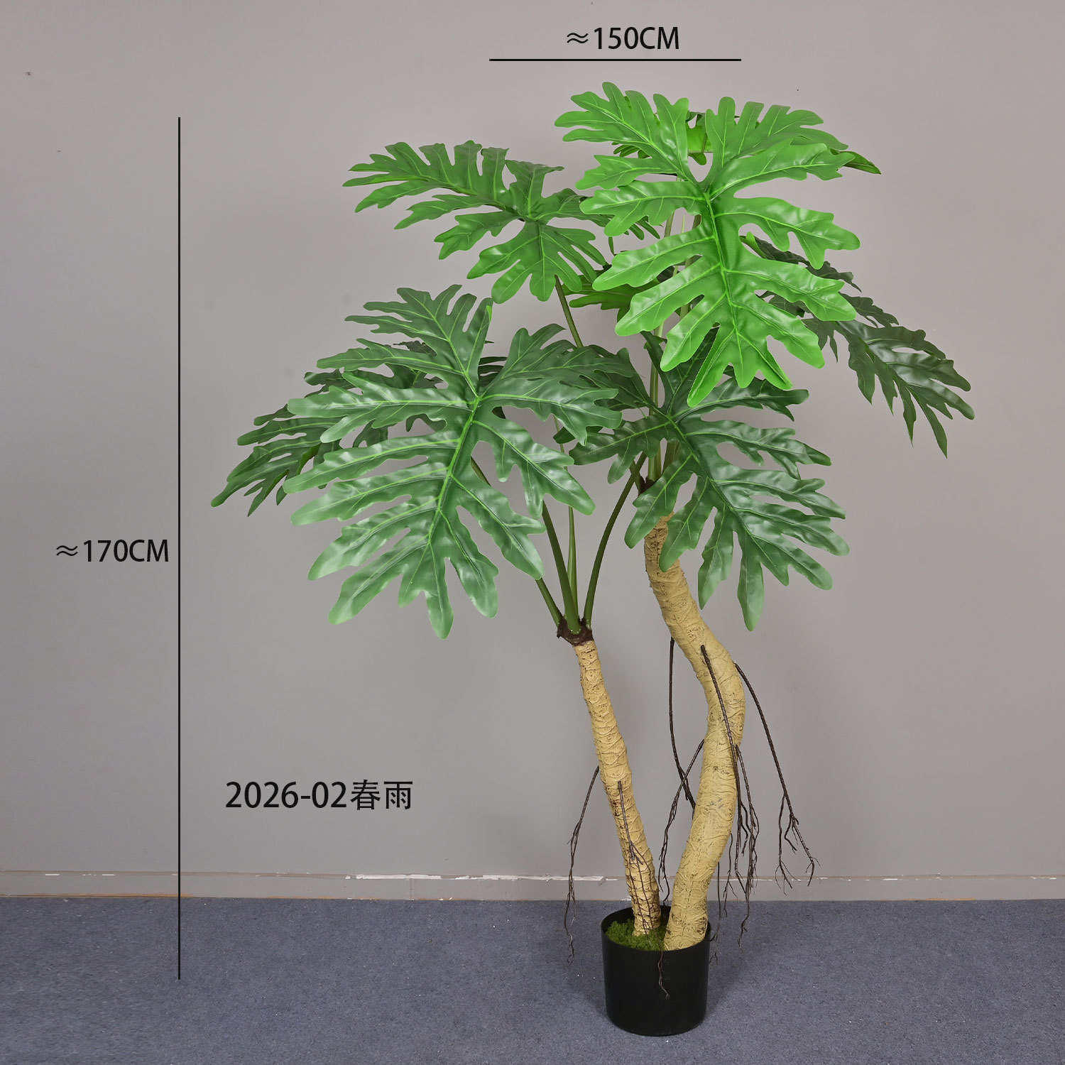 2026-02 Taro de printemps