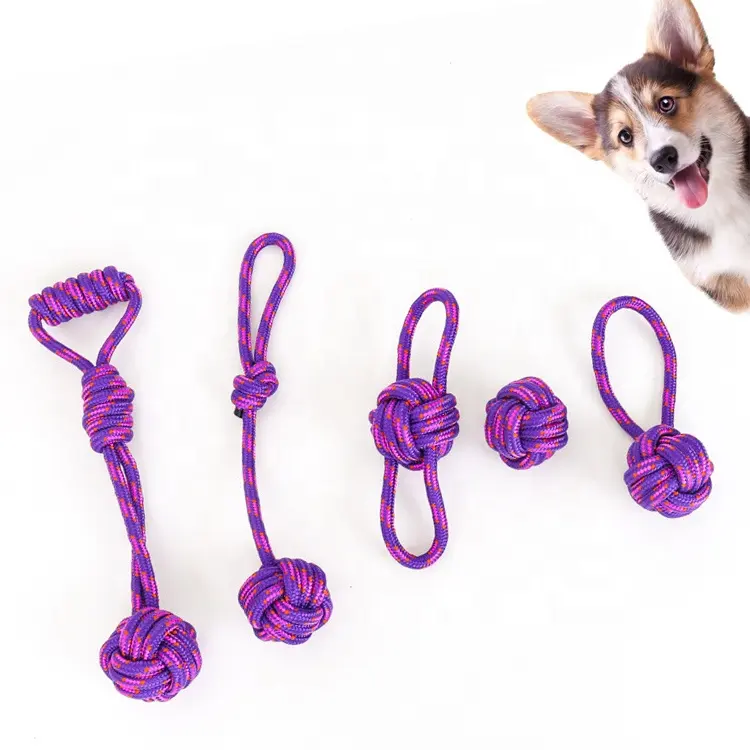 5パックロープギフトペットおもちゃメーカー安いインテリジェントロープ犬噛むおもちゃセット