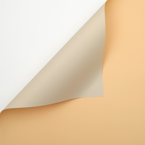 054 Shallow Orange+Milky Tea