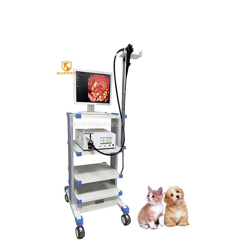 EUR PET veterinaria endoscopia torre colonscopio con gastroscopio endoscopio Fujinon flessibile endoscopio