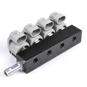 LPG/CNG/NGV Gas-Einspritz schiene LPG-sequentielles Kraftstoffs ystem für Sequential Injection Kit 2 oder 3 Ohm Auto injektor