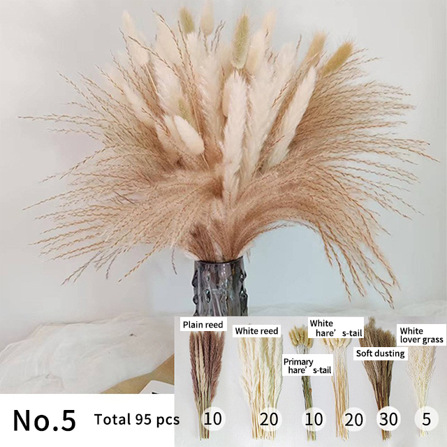 N ° 5