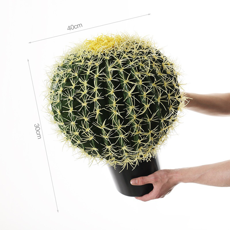 Large yellow spiny cactus with pot