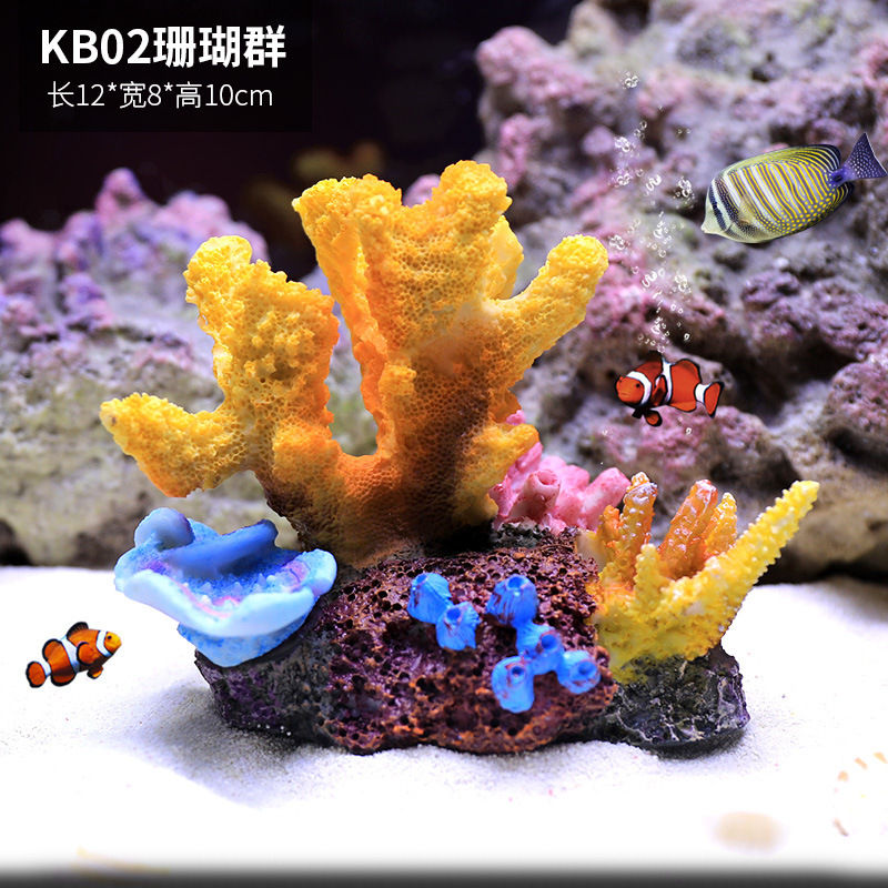 Kb02 coral group