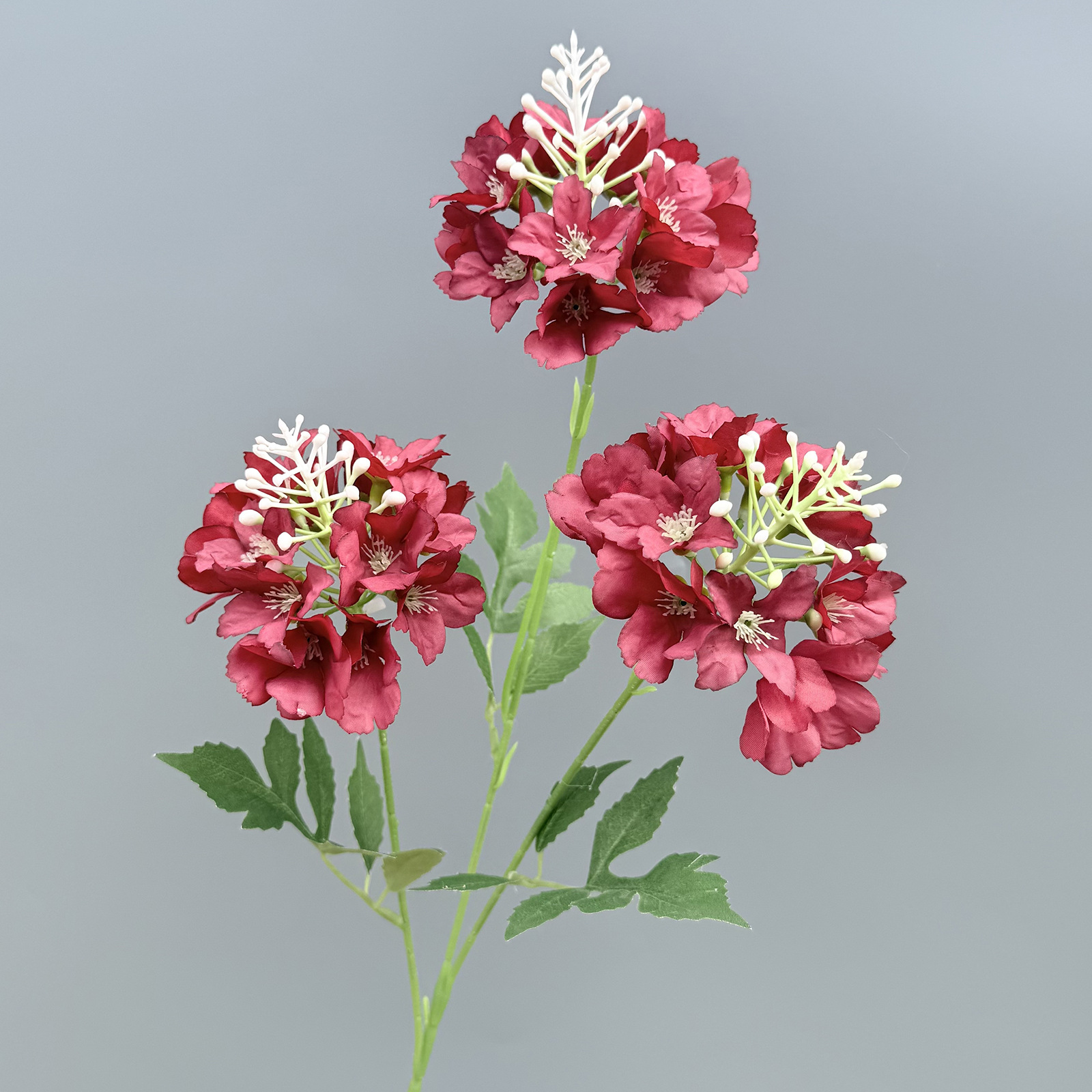 Hortensia coloré-rouge-74 cm