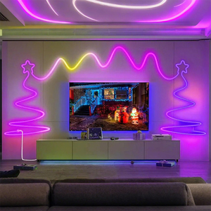 5 metre Ultra parlak USB RGB LED Neon ışık şeridi kırılmaz PVC esnek halat açık DIY sevgililer aydınlatma projeleri için - Product Image 1