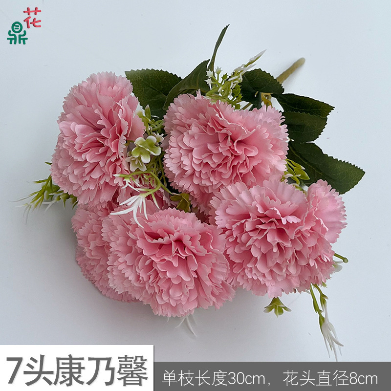 คาร์เนชั่น 7 หัว XC สีชมพู