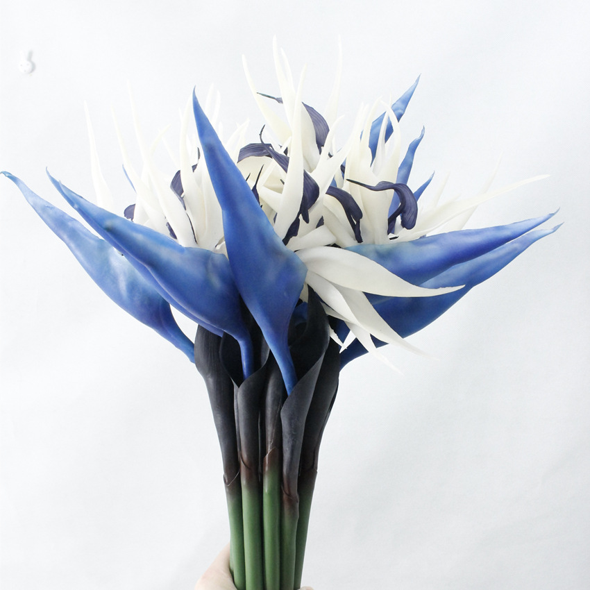Fleur bleue