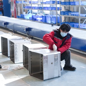 BIOBASE Cina produttore di essiccazione sottovuoto forno PID microprocessore controllo della temperatura con display a LED BOV-30V