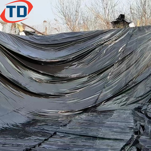 Geomembrana <strong>HDPE</strong> 1mm 2mm Geomembranes Pond Liner 45Mil 80Mil LDPE LLDPE Geo Membrane Price for Dam Liners 500 Micron <strong>1000</strong> Micron - Product Image 2