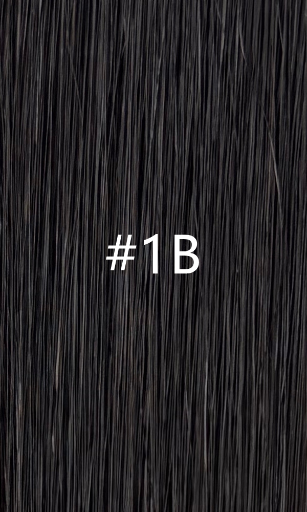 #1B