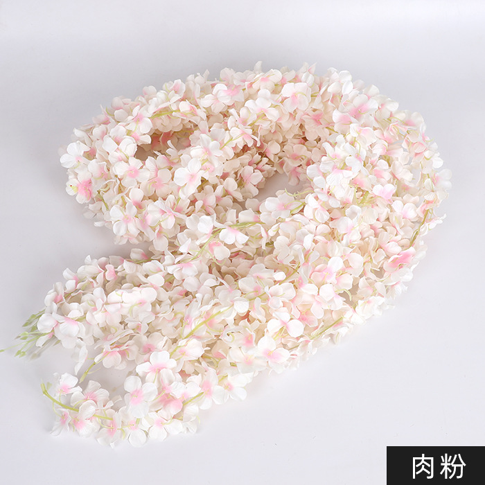 5 bandes de poudre de viande