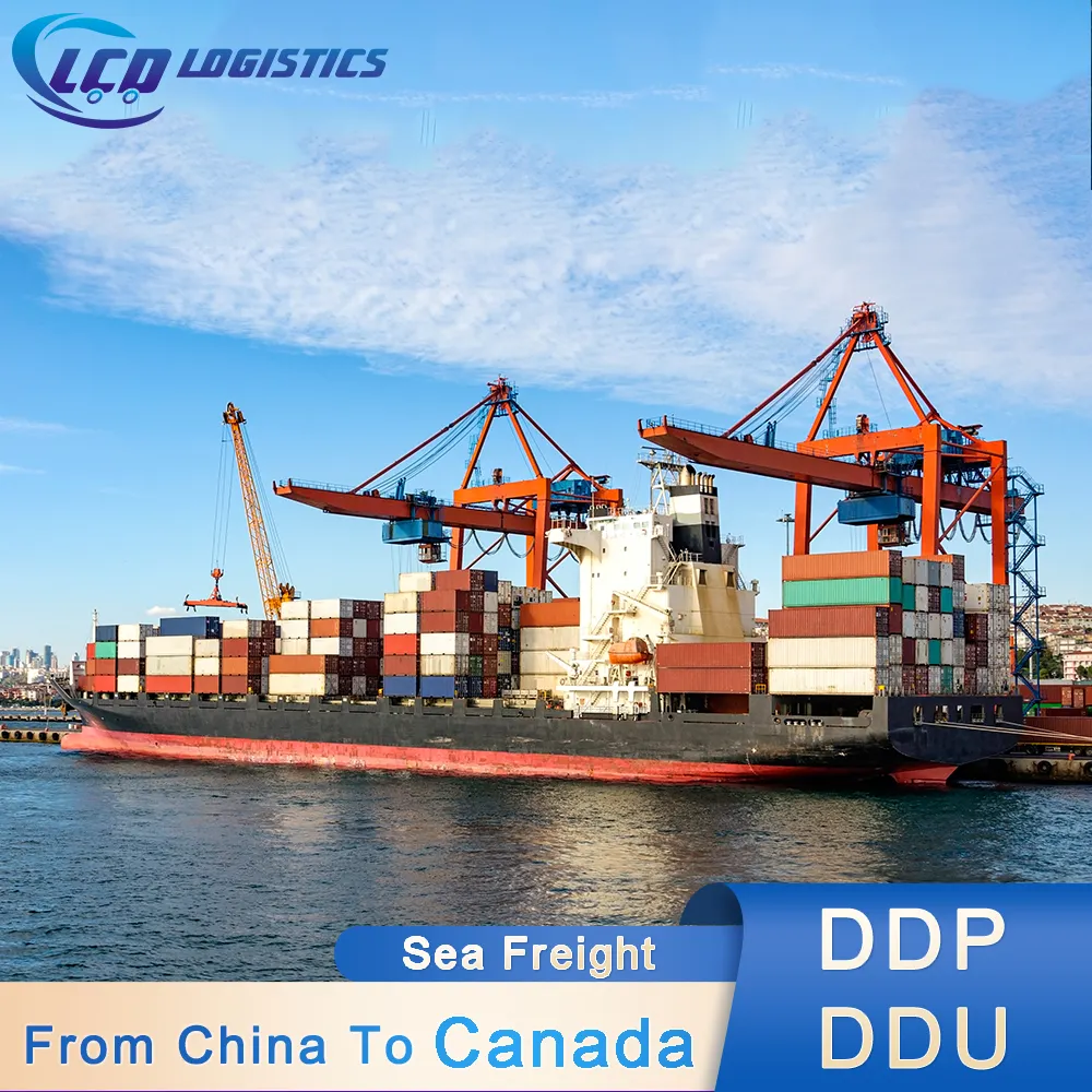 Vận chuyển đường biển vận chuyển hàng hóa từ thâm quyến Thiên Tân Thượng Hải Phật Sơn Trung Quốc để ontario Vancouver saskatoon Toronto Canada
