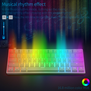 61 <strong>Keys</strong> Gaming Mechanical <strong>Keyboard</strong> RGB USB Type C ABS Mini <strong>Keyboard</strong> Wired Custom Logo Printed Accept for Skyloong Manufacturer