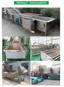 Automatic Fruit and Vegetable Washing Machine for Lettuce, <strong>Apples</strong>, and Carrots - Product Image 3