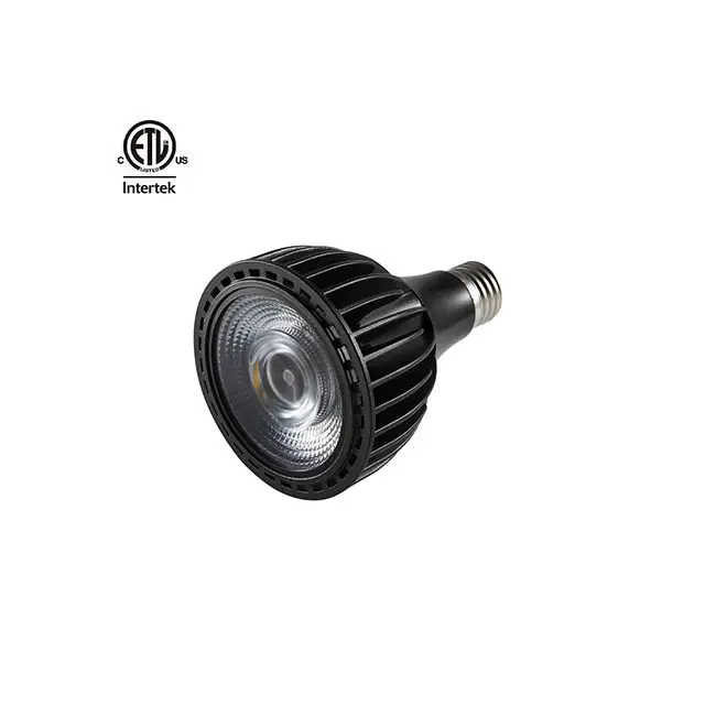 Daytonled Seri Agate Jade, Perhiasan CETL ETL 35W 40W Par 30 Bohlam Led