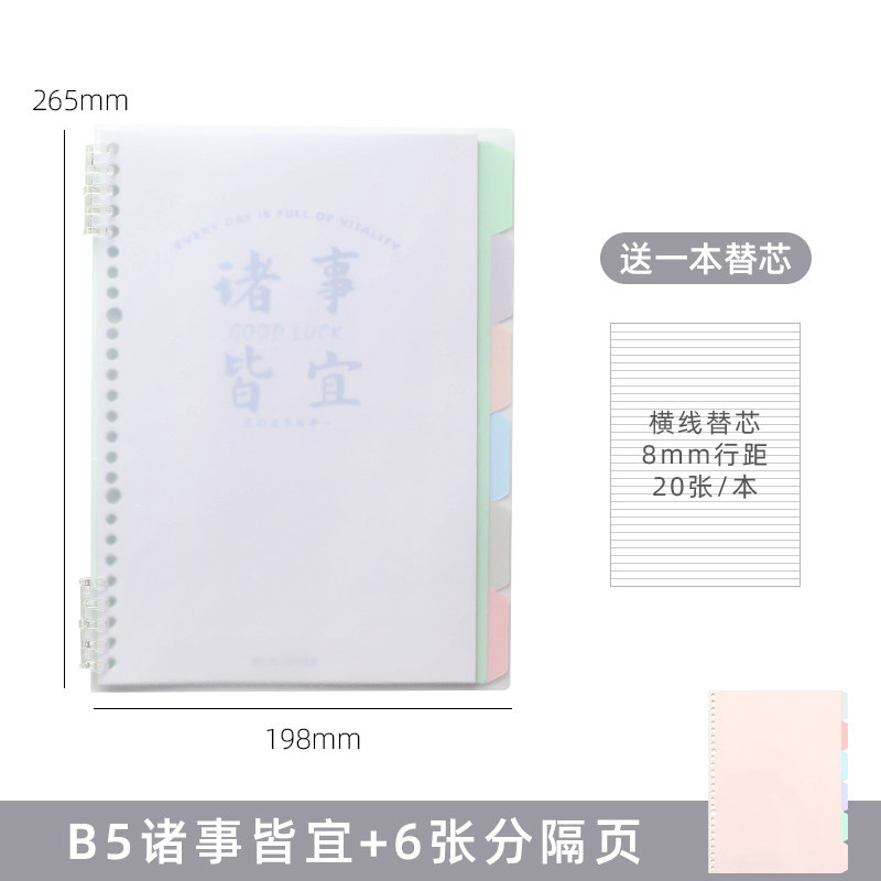 B5 all-purpose binder + 6 divider pages